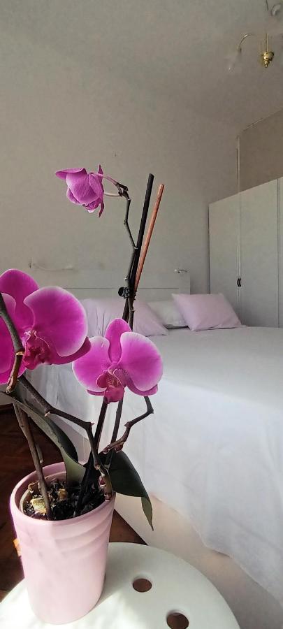 Rab Town Park Apartman Eksteriør billede