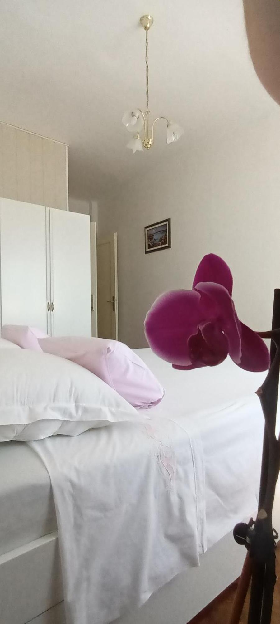 Rab Town Park Apartman Eksteriør billede